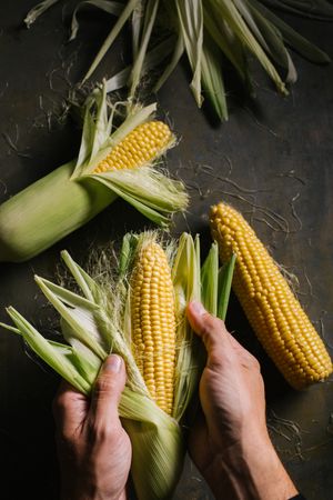 Crop person peeling corn over table
