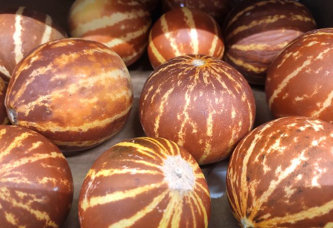 Dark orange asian melons close up.