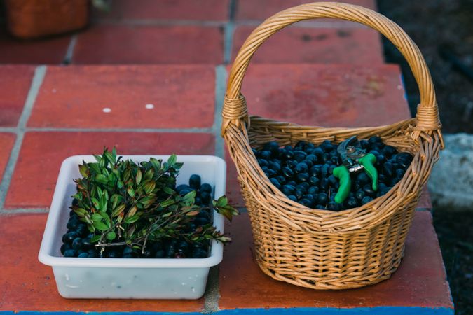 Basket and tray with olives