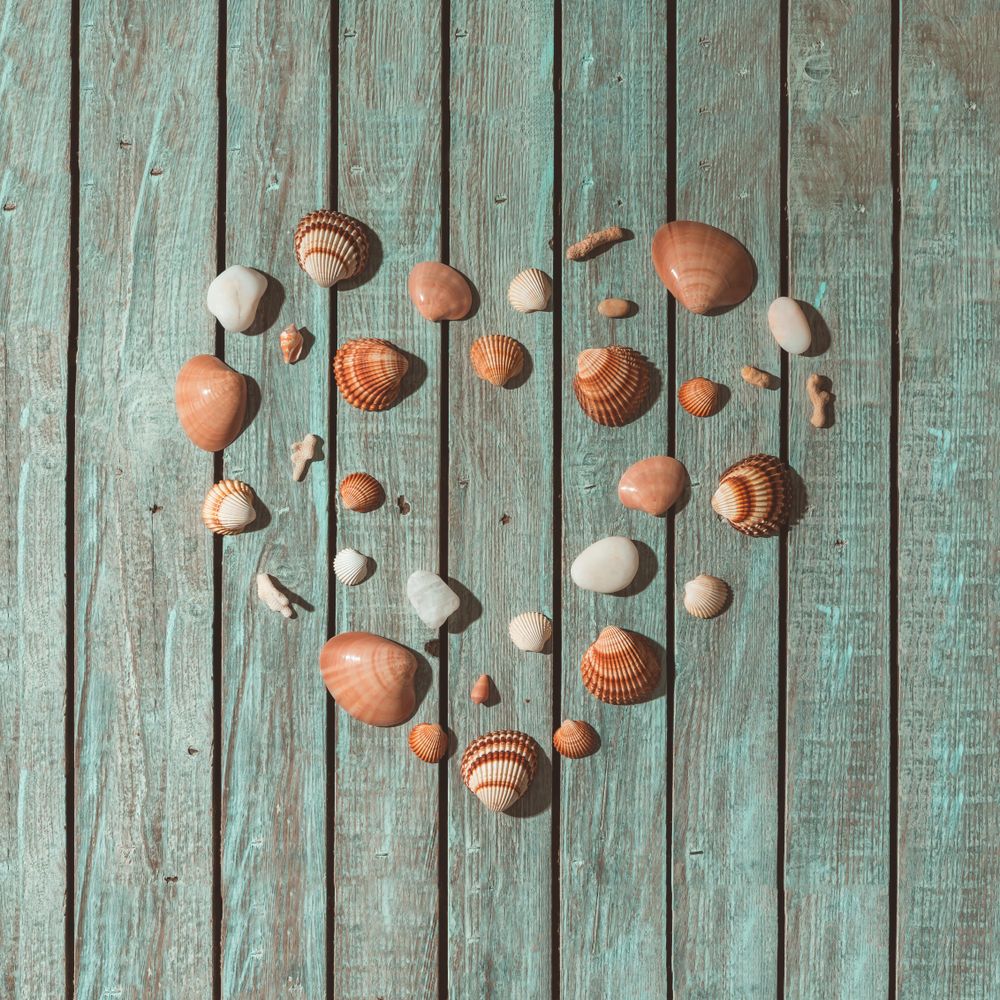 Sea shells arranged in heart shape on blue background