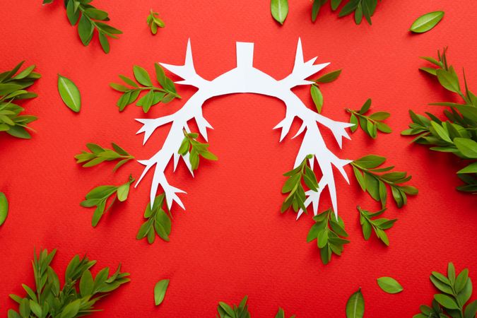 Lung bronchus on red background with ribbon and green foliage