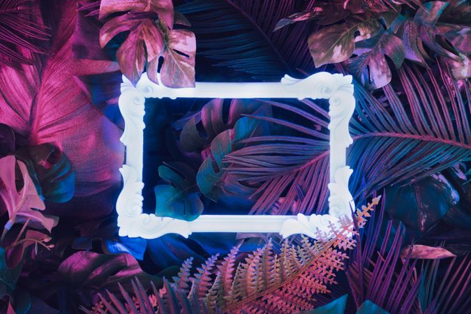 Creative fluorescent color layout made of tropical leaves with neon light square