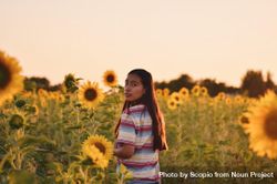 Portrait of woman standing in a sunflower field looking back 0yO374
