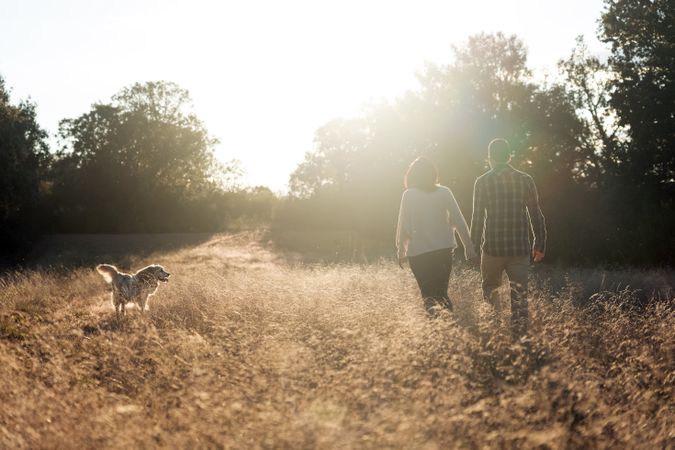 Couple with dog in countryside at sunset