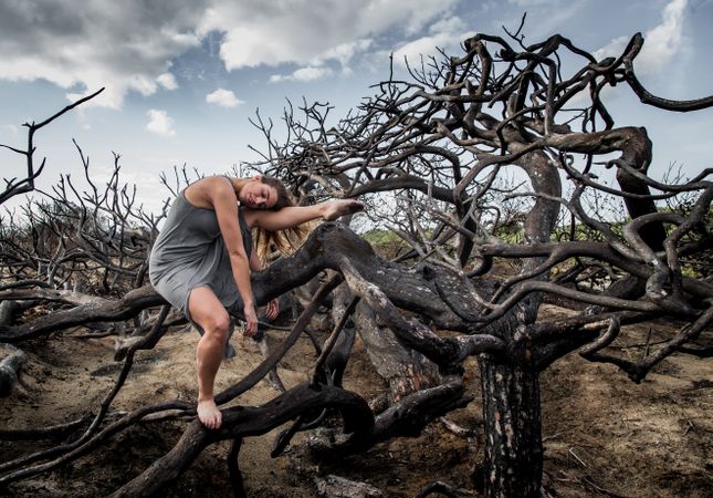 Woman posing on twigs of dry trees
