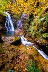 Small river and waterfall flowing in green dark beautiful forest.