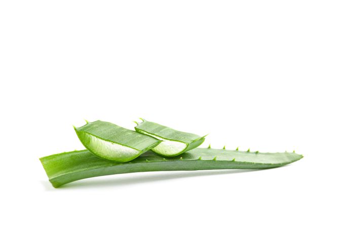Aloe vera slices isolated on studio background. Herbal medicine