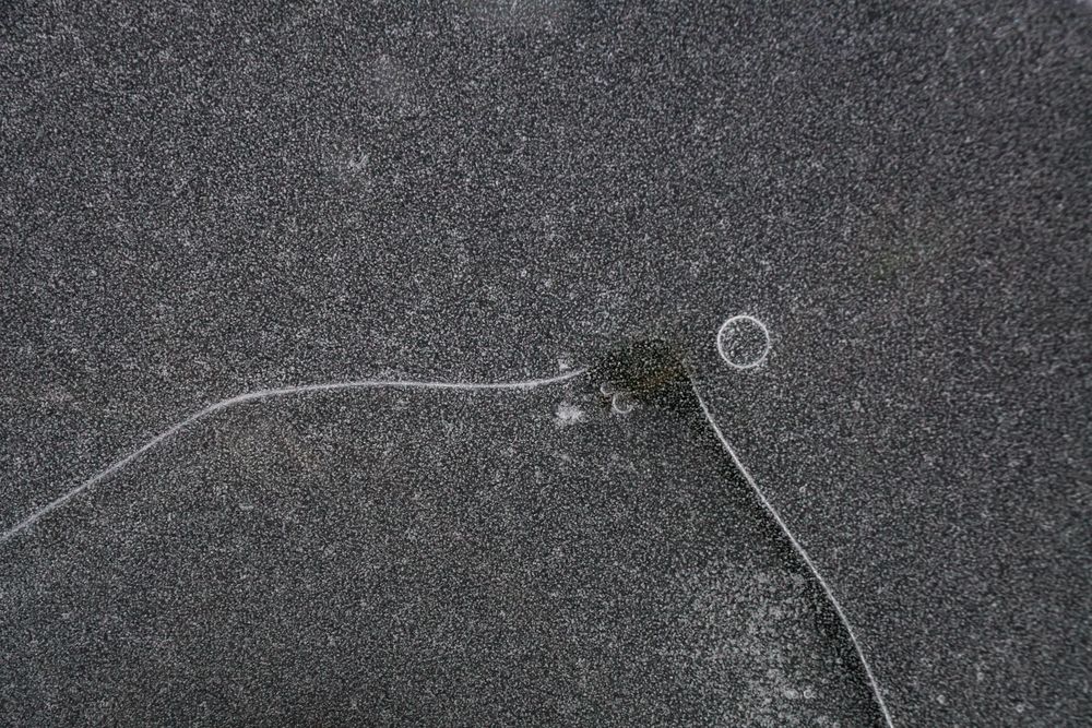 Fragment of thin ice on dark frozen river