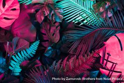 Creative layout made of colorful tropical leaves 4mjxdb