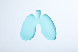 Blue lungs centered on light paper