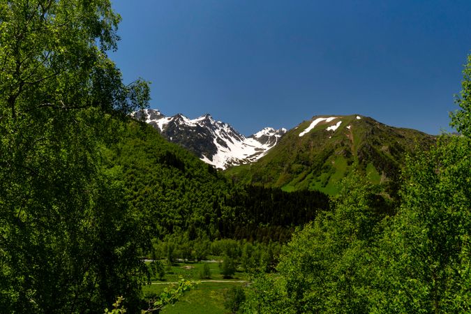 Snow-capped mountain peaks with lush green forests