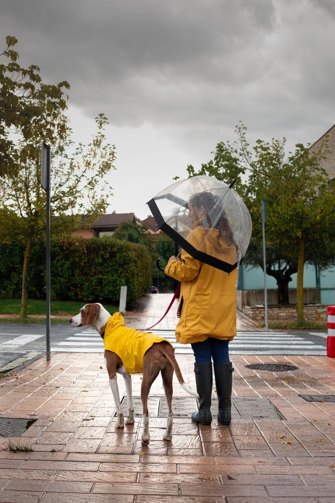 Woman walking with dog in cloak in street