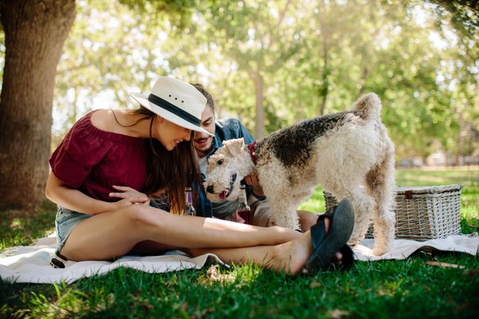 Young couple playing with their pet dog on picnic at park