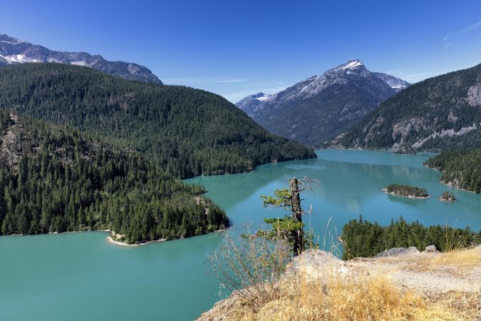 Diablo Lake in the North Cascades with wildflowers