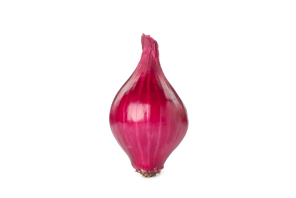 Fresh red onion isolated on blank background