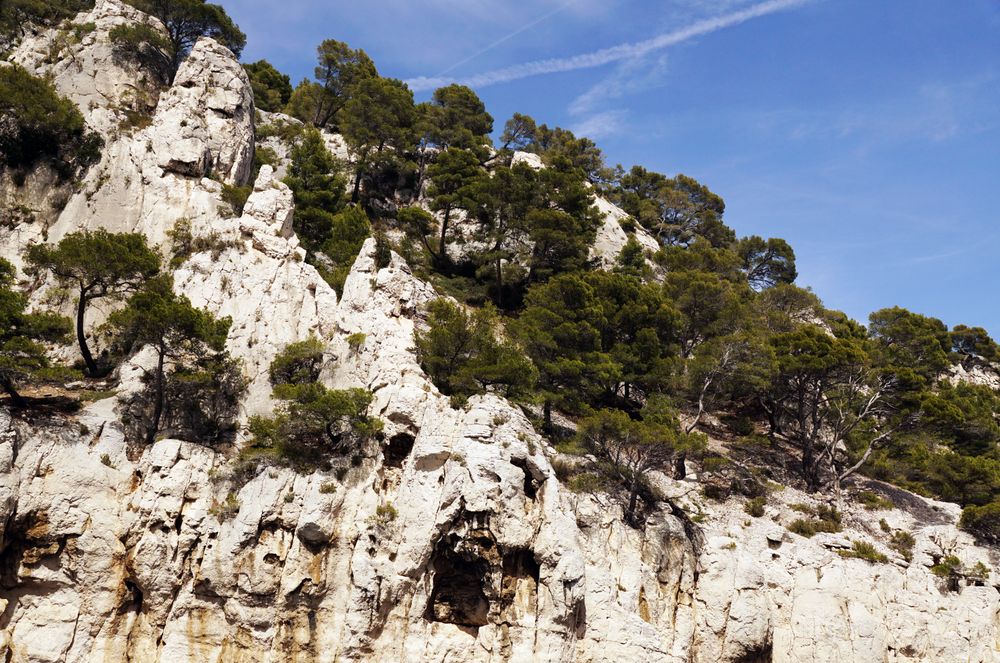 Mountain landscape with rocks and trees