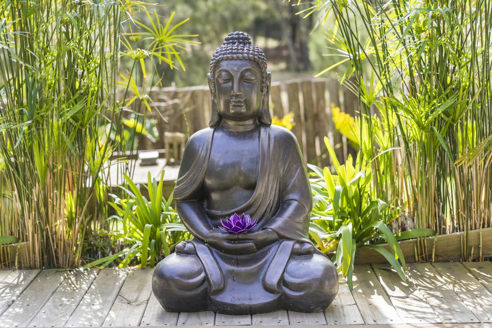 Meditating Buddha Statue with a purple lotus on his hands on a backyard.