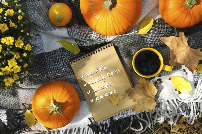 Cozy autumn concept with pumpkins outdoor, top view