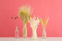 Four glass vases with dried flowers in pink room