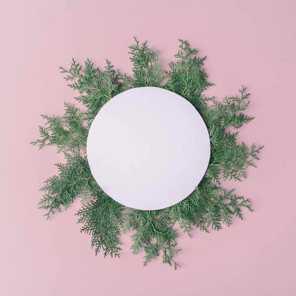 Christmas frame made of winter plants on pink table background