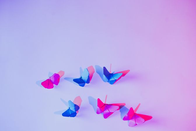 Paper butterflies and leaf on wall