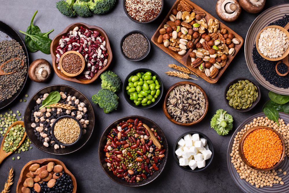 Healthy vegan, plant based protein source and body building food on dark background