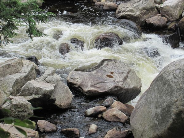 River Rapids