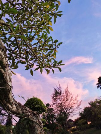 The beauty of the sky