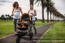 Two women walking with a baby pram in a park 5o6P10