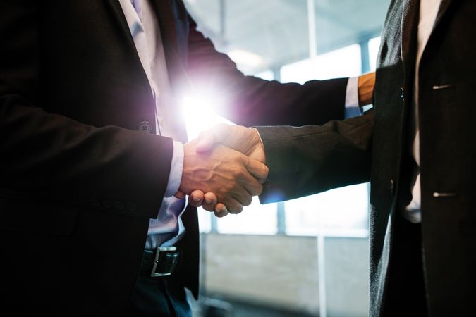 Business partners shaking hands with each other