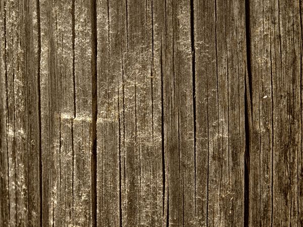 Brown Wood Texture