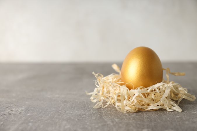 Golden egg, pension savings, investments, retirement, space for text