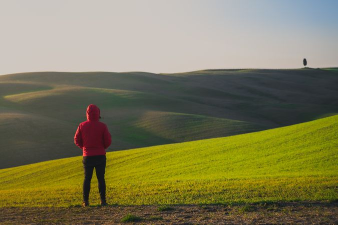 Traveling man walking on green rural road