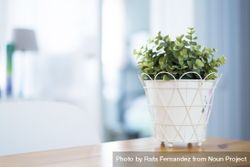 Indoor green plant into light flowerpot on wooden table 4OdKNa