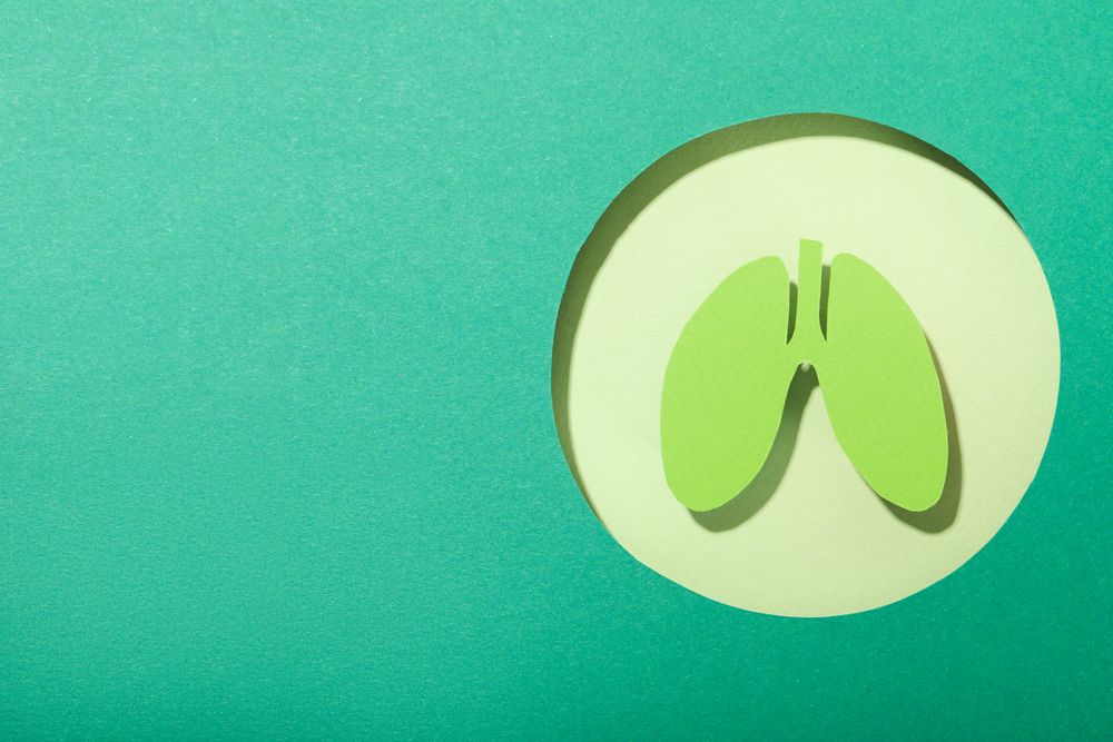Green circle with green lungs with copy space