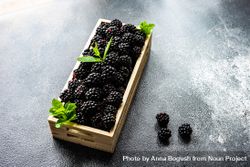 Box of blackberries on grey counter 4d8PQn