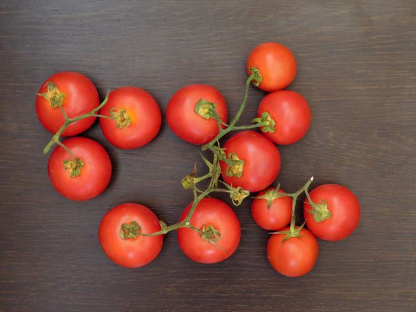 tomatoes