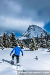 Man walking on snow covered ground near snow covered mountain 4dkzl5