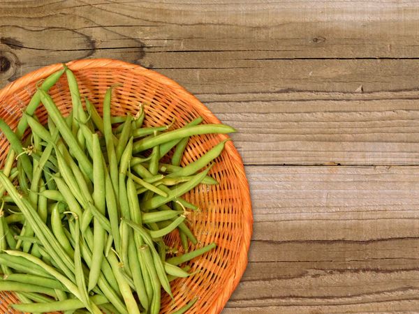 green bean