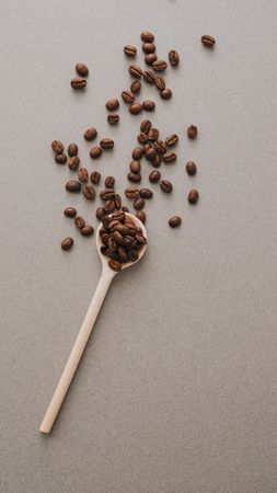 Coffee beans in spoon on gray surface