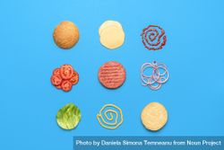 Burger ingredients top view isolated on blue background 5o6z80