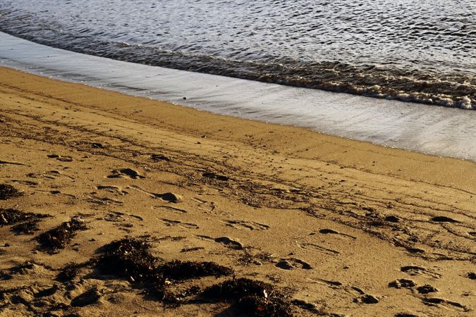 wet sandy shore on sunny day in beach