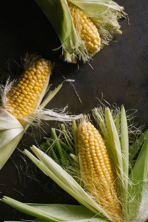 Phases of fresh corn peeling