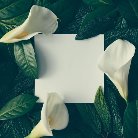 Creative layout made of green leaves and flowers with paper card note