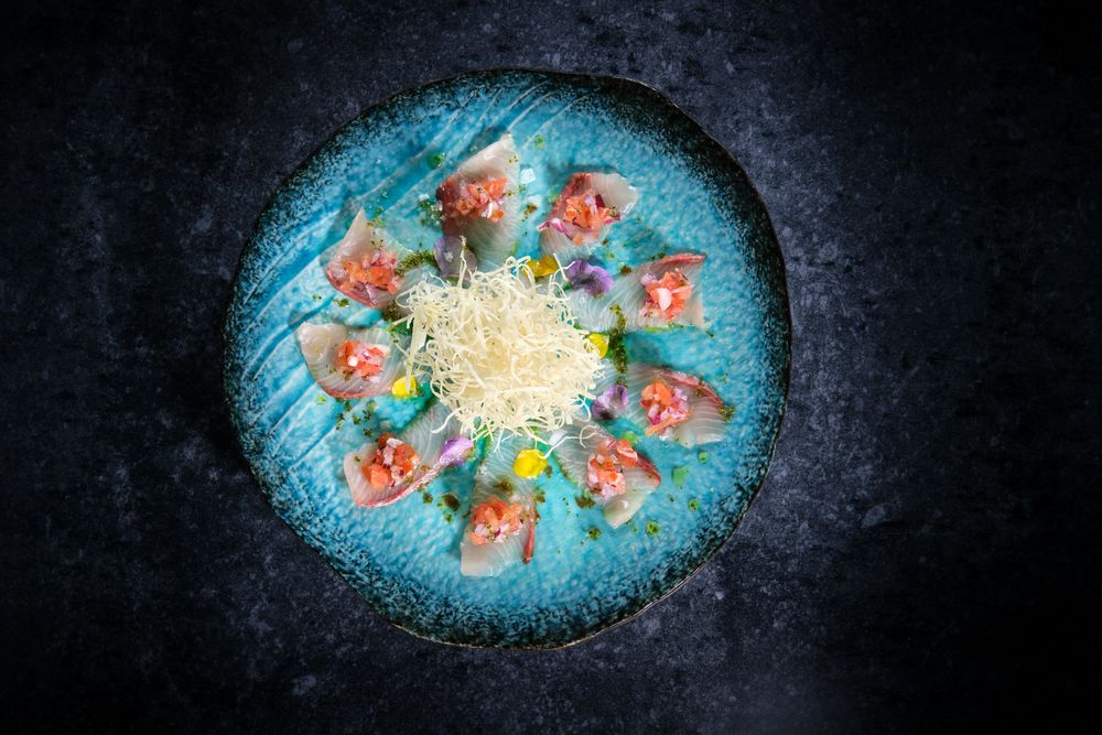 Composition of tuna and daikon on plate