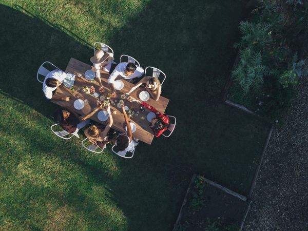 Aerial view of friends toasting drinks at outdoor dinner party in backyard garden