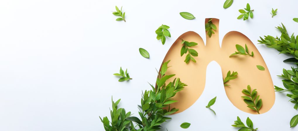Banner of paper lung shape in beige surrounded by green foliage with copy space