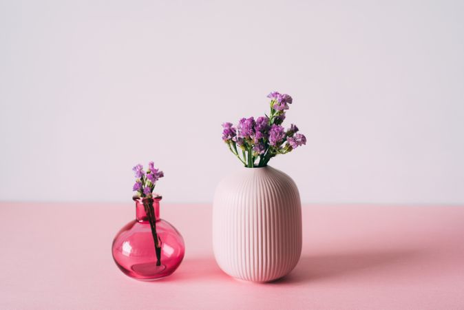 Violet sea lavender flowers in a pink