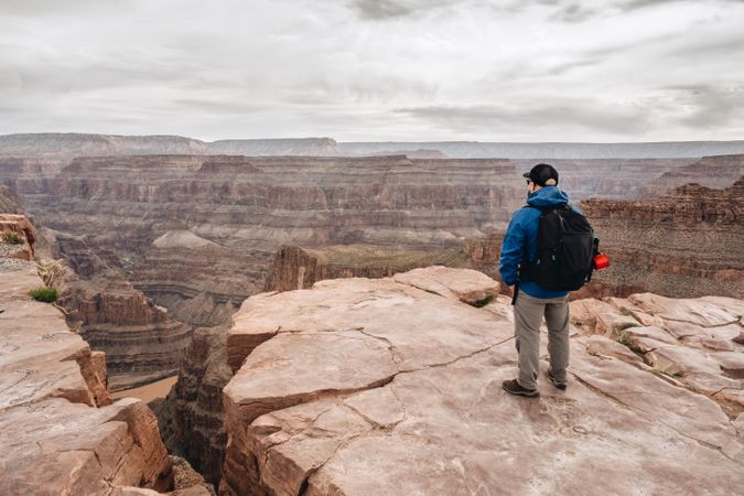 Calm male looking at pictorial landscape
