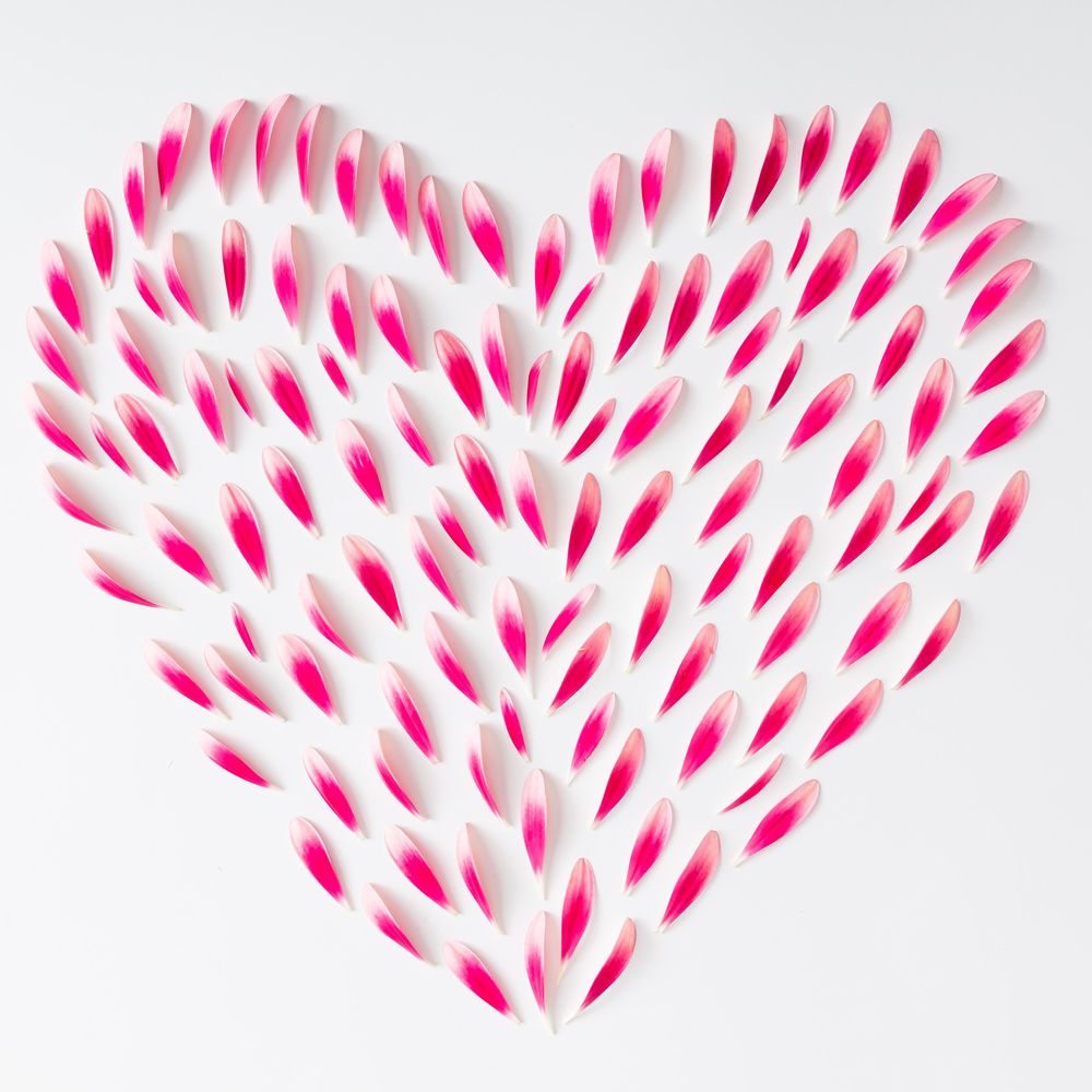 Heart made of pink flower petals